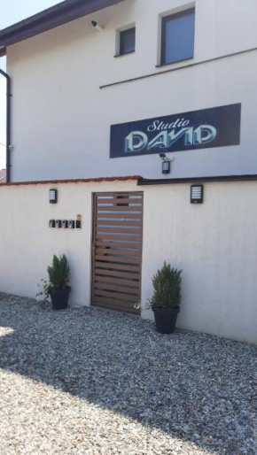 *Studio David*
